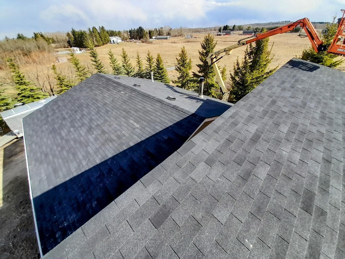 Professional roofing services